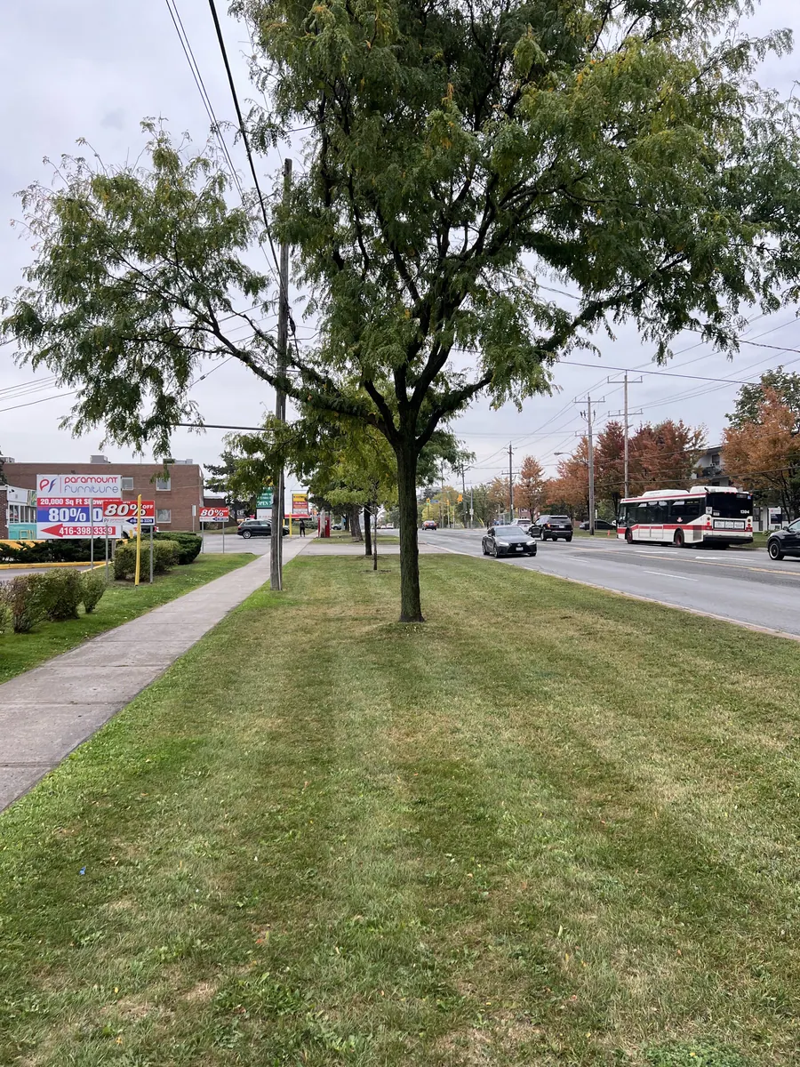 Maintained commercial roadside property with clean hardscape edges