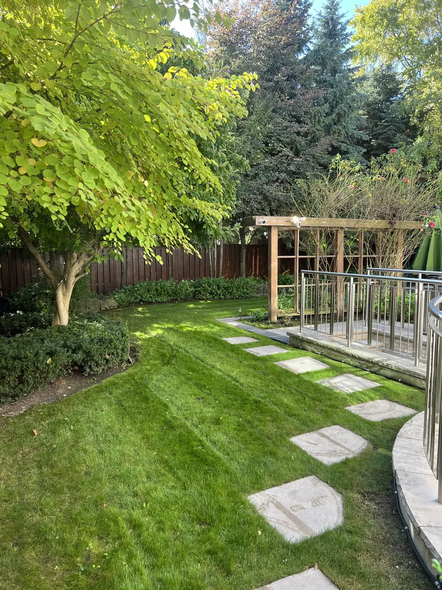 Healthy green backyard lawn beside a landscaped garden