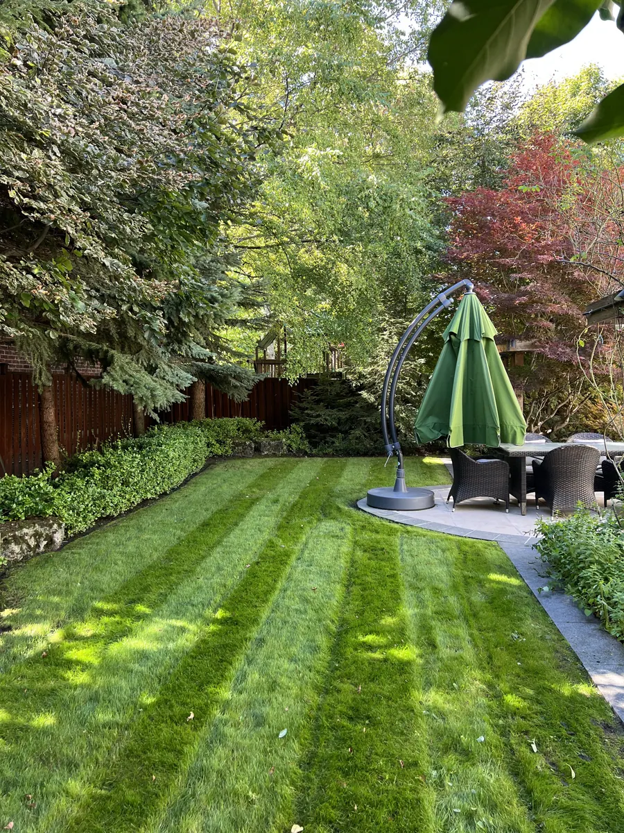 Freshly cut residential lawn maintained by PineWorks Property Care