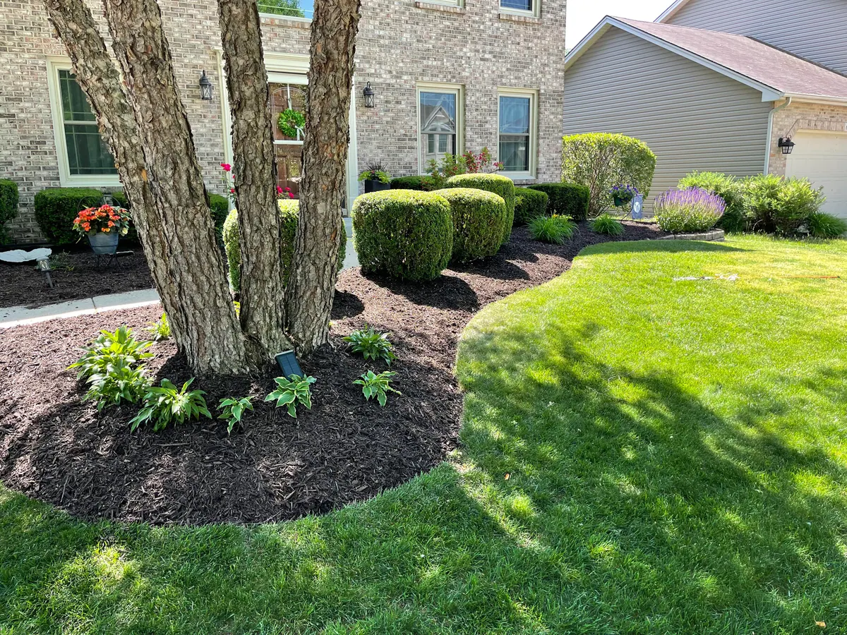Freshly installed dark mulch in a shaped garden bed