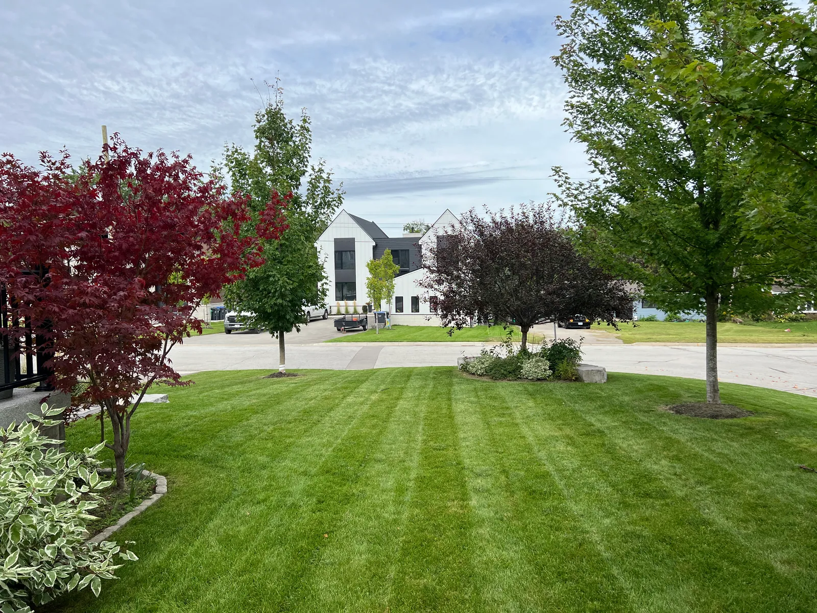 Striped residential lawn framed by ornamental trees and gardens