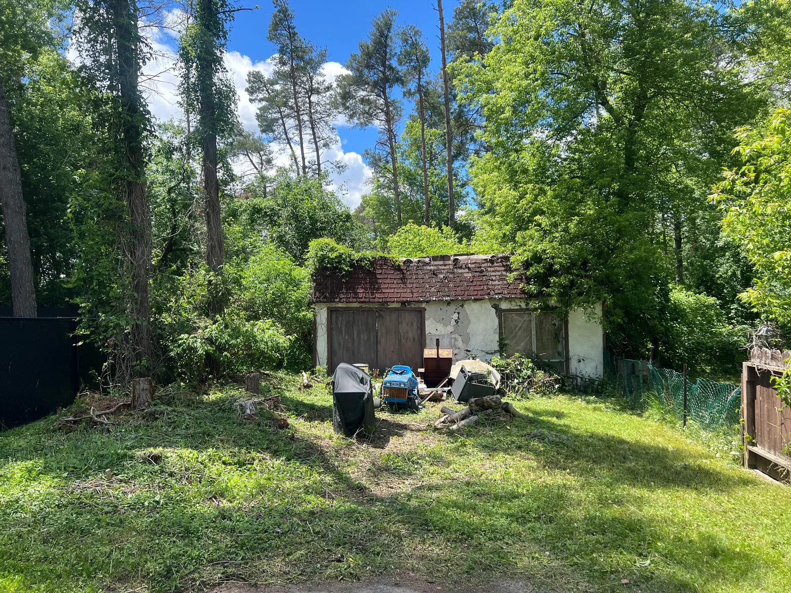 Same backyard cleared of tall weeds and overgrowth after PineWorks cleanup