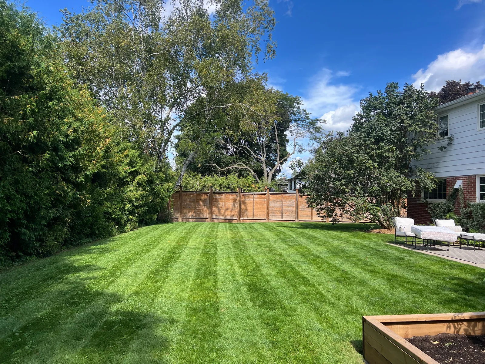 Freshly striped backyard lawn beside mature trees and a garden box