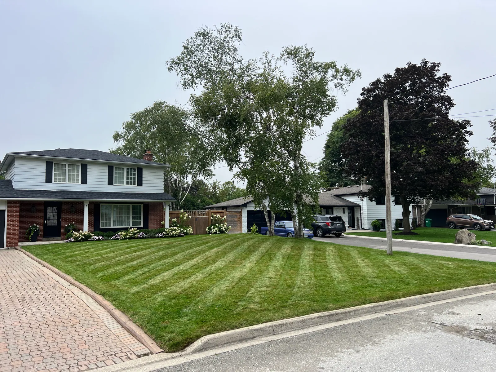 Fresh mowing stripes across a residential front lawn